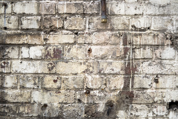 Vieux mur