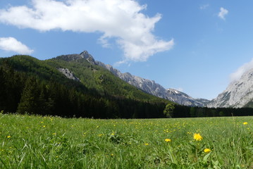 Hochschab Region