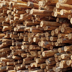 pile of wooden stump as background