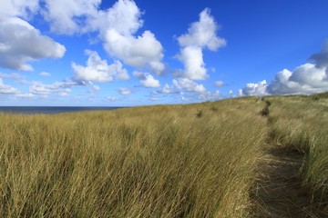 Fototapeta premium THE DUNES OF THE TOUQUET , FRANCE 