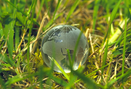 Glass earth in grass