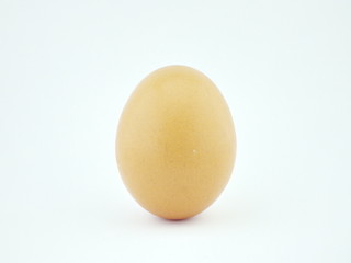 Isolated Egg with white background