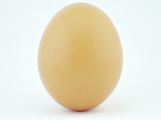 Isolated Egg with white background