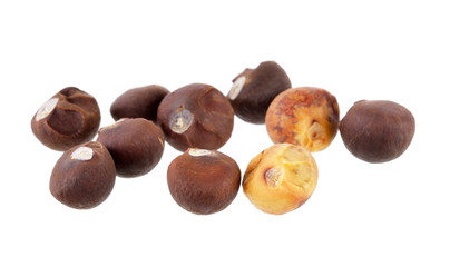 tea seeds on white background