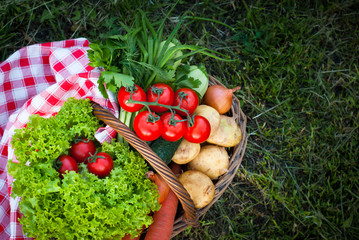 Basket with freshvegetables