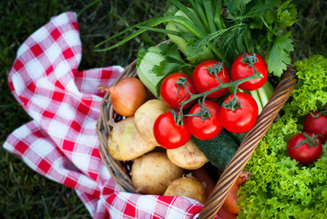 Basket with freshvegetables