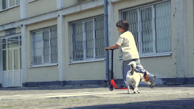Boy riding scooter