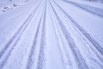 north of the 49th parallel landscapes