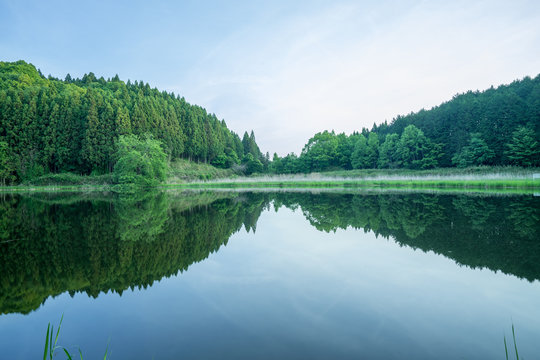 Ryuougafuchi pond,uda-city,nara,tourism of japan