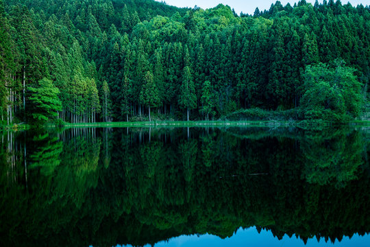 Ryuougafuchi pond,uda-city,nara,tourism of japan