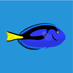 Tropical ocean fish, vector illustration