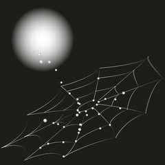 Illustration  spider web and the moon
Drawing on black background spider web and the moon, the dew drops on the strands trap is suitable for decoration and design
