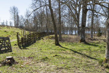 Beteshage med gärdsgård av enestörar © Björn Kristersson