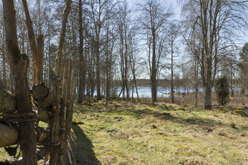 Beteshage med gärdsgård av enestörar © Björn Kristersson