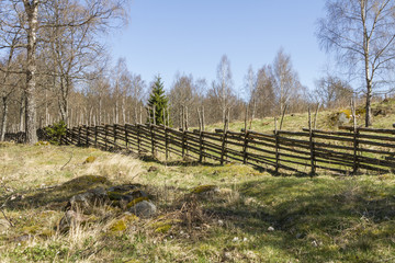 Beteshage med gärdsgård av enestörar © Björn Kristersson