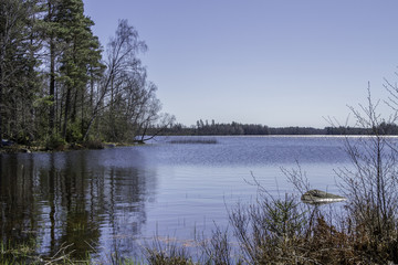 Strandkant vid insjö © Björn Kristersson