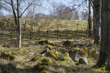 Beteshage med gärdsgård av enestörar © Björn Kristersson