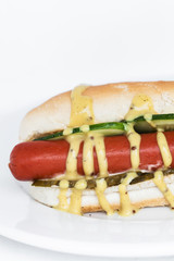Fresh appetizing hot-dog