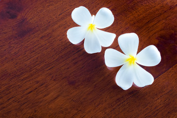 Fototapeta na wymiar plumeria flowers on wooden table