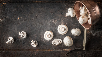 Champignon on the copper pot on the metal background top view
