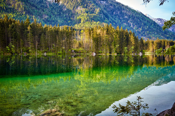turquoise water and scene of trees and Lake