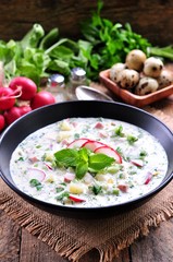 Cold summer soup with radish, cucumber, dill, parsley boiled eggs and potatoes. Russian traditions.