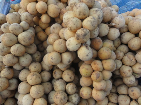 Lychee fruit Thailand