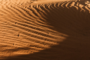 Beautiful dunes of the Wadi Rum desert. Jordan.