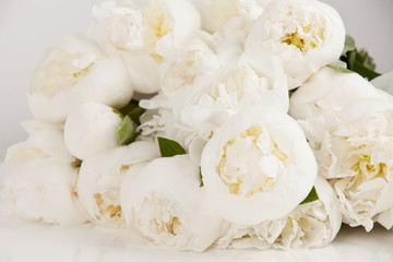 Beautiful white peony.