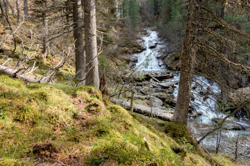 Gebrigsbach in früher Frühlingslandschaft