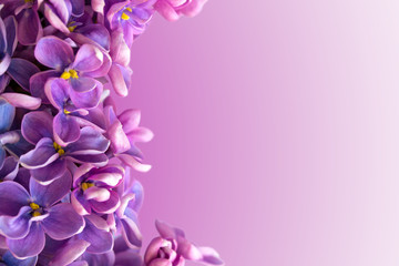 Fototapeta na wymiar Beautiful floral border with lilacs.