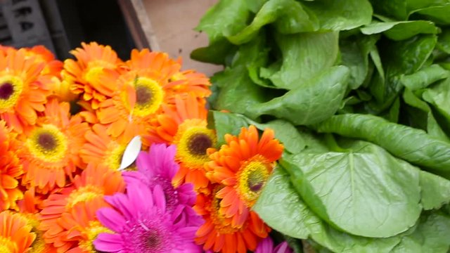 Vegetable and flower stall at the market, close-up