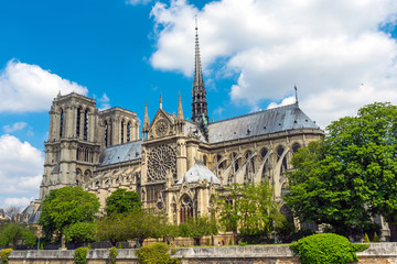 Fototapeta na wymiar The famous Notre Dame cathedral in Paris on a summer day