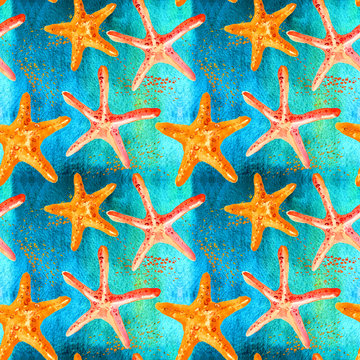 Caribbean starfish on white background.