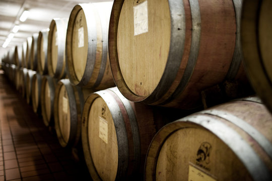 Barrels of wine stacked in a wine cellar