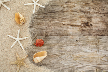 Sea shell on wooden with sand