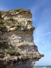 Bullbjerg Kalkfelsen