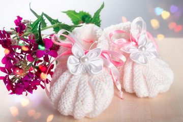 Children's shoes standing on a windowsill with a flower