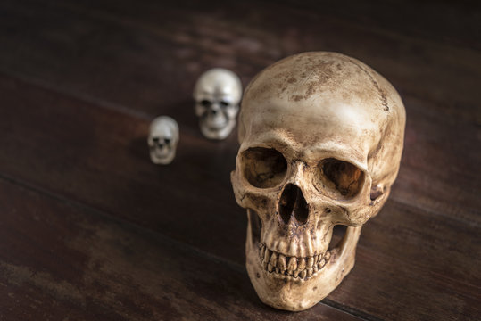 human skull on wooden table, horror halloween concept, still life style