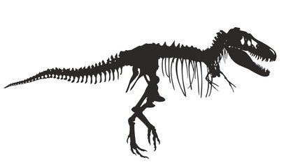 Skeleton of  dinosaur