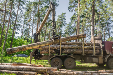 timber carrier