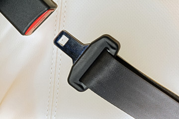 seat belt