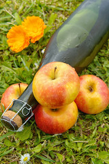 bottle of cider with apples from Normandy