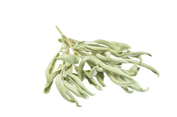 Fototapeta premium dried sage leaves on white - 6955