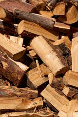 A pile of chopped and cut wood
