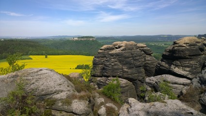 Sächsische Schweiz Rapsfeld