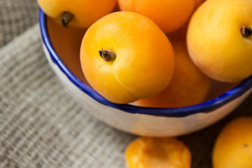 Ripe apricots in white ceramic plate with blue rim 