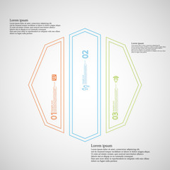 Octagon Illustration infographic template divided to three color parts created by double outlines