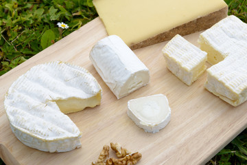tray with different French cheeses