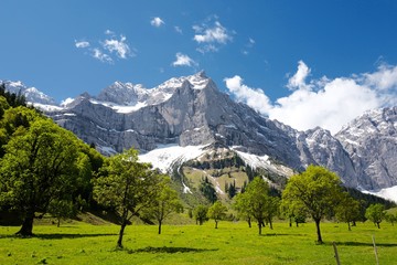 Naturschönheit großer Ahornboden in Tirol © karamba2106